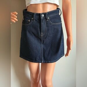 Everlane Denim Skirt